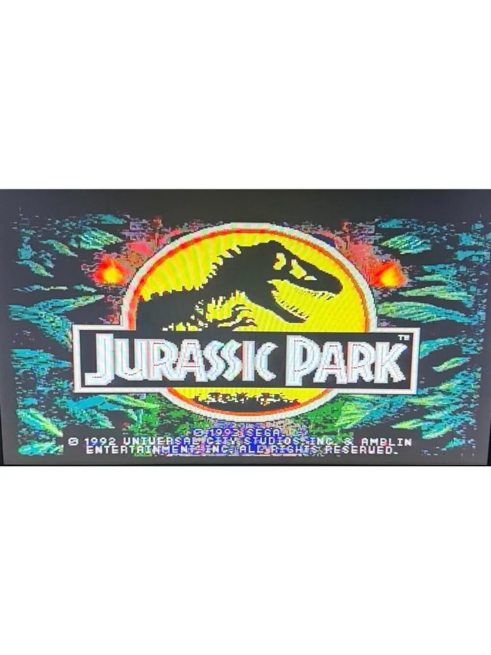 Jurassic Park Sega Genesis 1993 Authentic Complete w/ Manual CIB Tested & Works